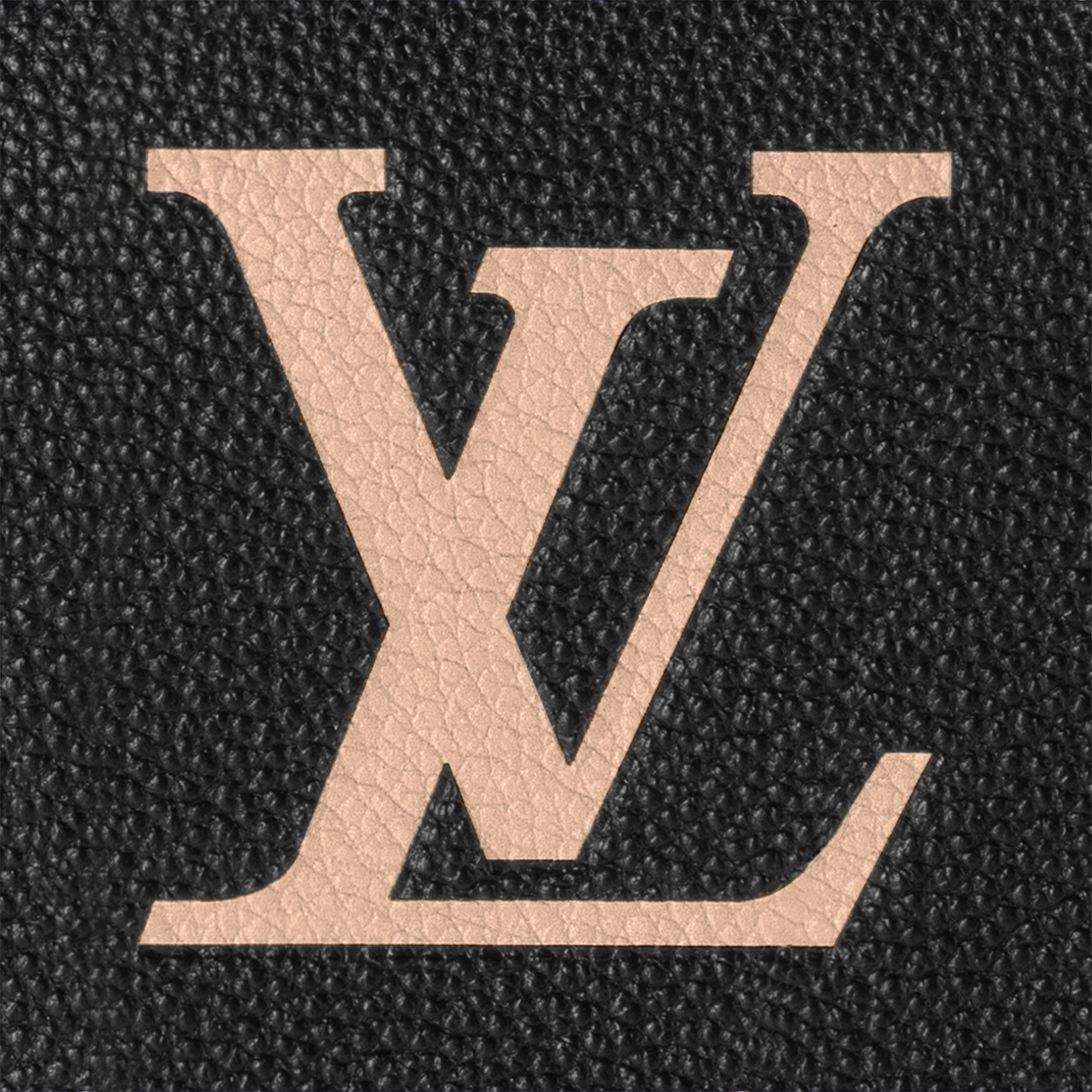 Louis Vuitton M58947 Speedy Bandoulière 25 Bicolor Monogram Empreinte Leather Black Beige - Image 10